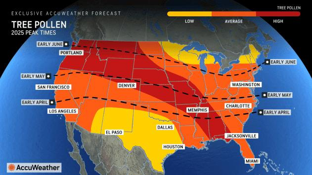 Peak times expected for tree pollen across the United States.
