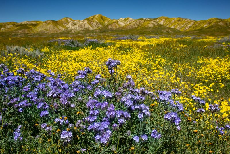 High temps in the 80s will arrive on Thursday in the High Desert before rising into the 90s on Friday, Saturday and Mother’s Day on Sunday.