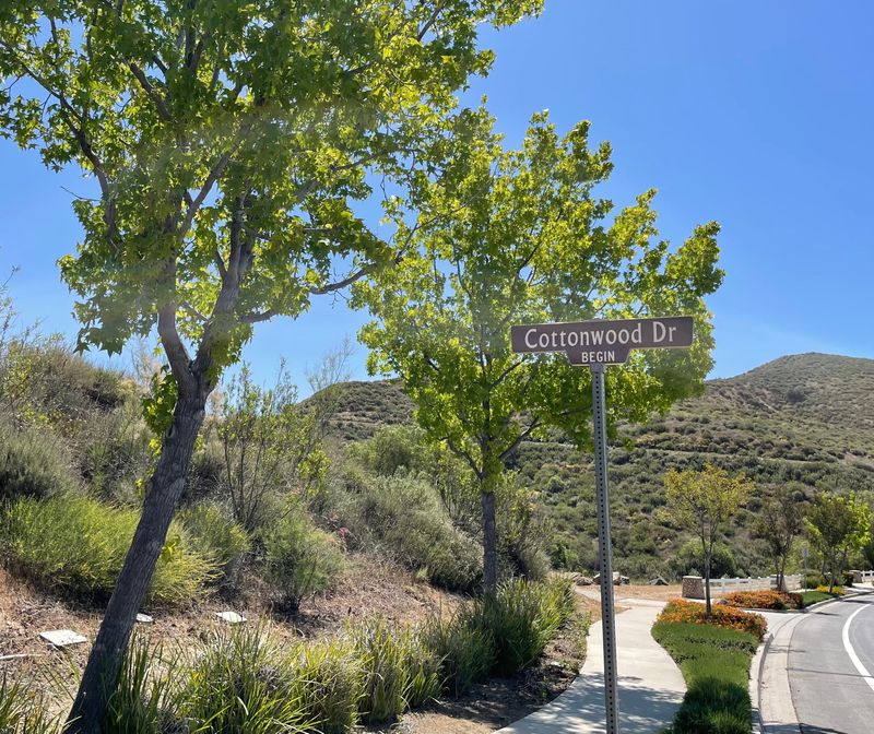 A 71-year-old man was found dead near Chivo Canyon Trail in Simi Valley on Aug. 6. His vehicle had been found a day earlier near Cottonwood Avenue.