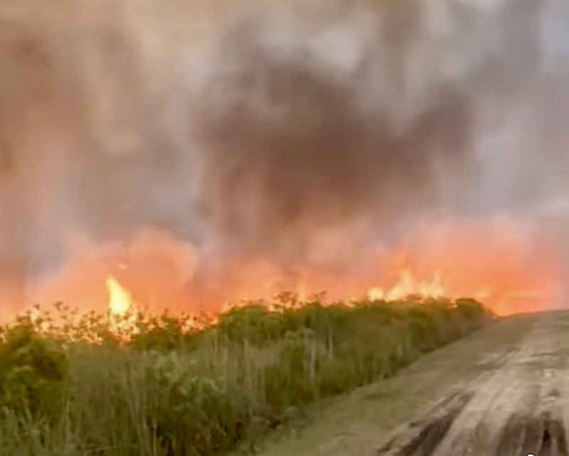 A wildfire started by lightning at Lake Woodruff Wildlife Refuge in De Leon Springs on Monday has grown to 1,000 acres and is not controlled. The refuge has been closed to visitors.