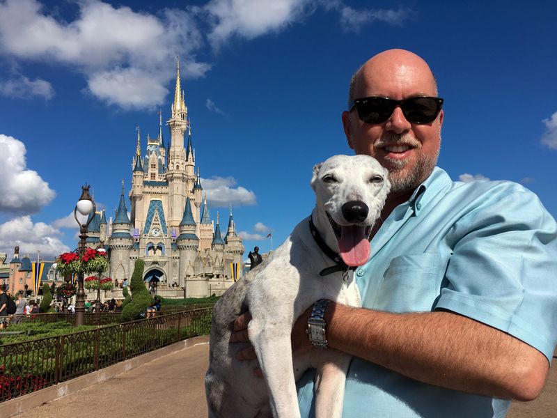 The independent "dogumentary" Abby's List by Worthington native Mark Sutherland follows him and his beloved aging Whippet dog Abby on a bucket list trip across the country, including Disney World, a Las Vegas casino and the Columbus Zoo and Aquarium.
