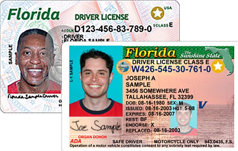Florida drivers licenses and state-issued IDs that are REAL ID compliant have white stars in gold circles at the top right.