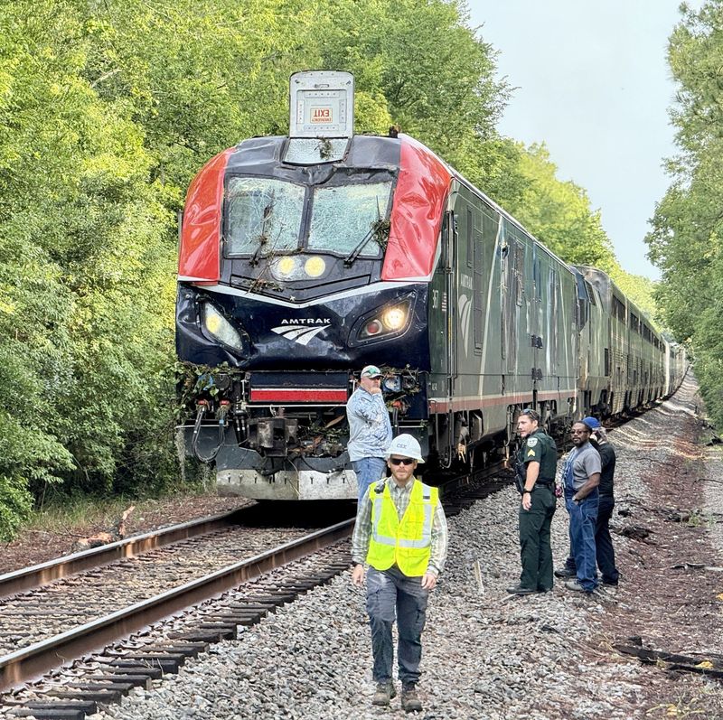 An Amtrak Auto Train suffered a serious punch in the nose causing some damage when it slammed into a tree that fell onto the tracks near Nolan Road. No injuries to the operator or passengers were reported.