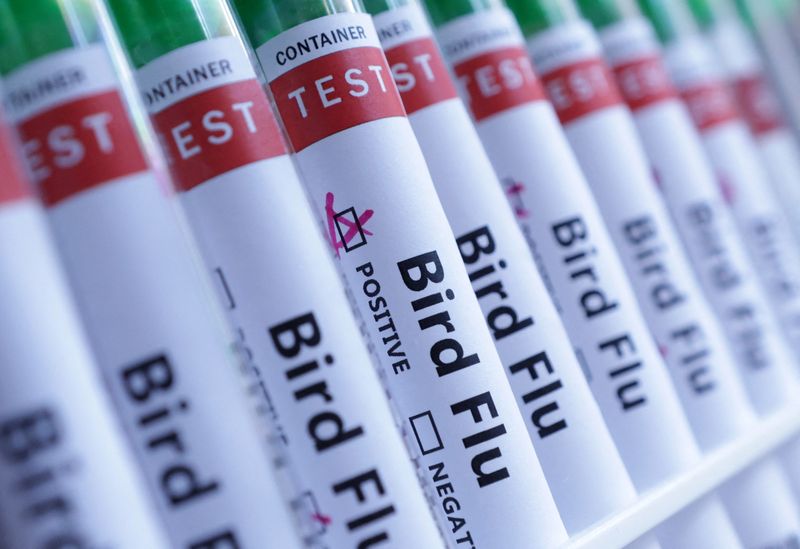 Test tubes are seen labelled "Bird Flu" words in this illustration taken, June 10, 2024. REUTERS/Dado Ruvic/Illustration
