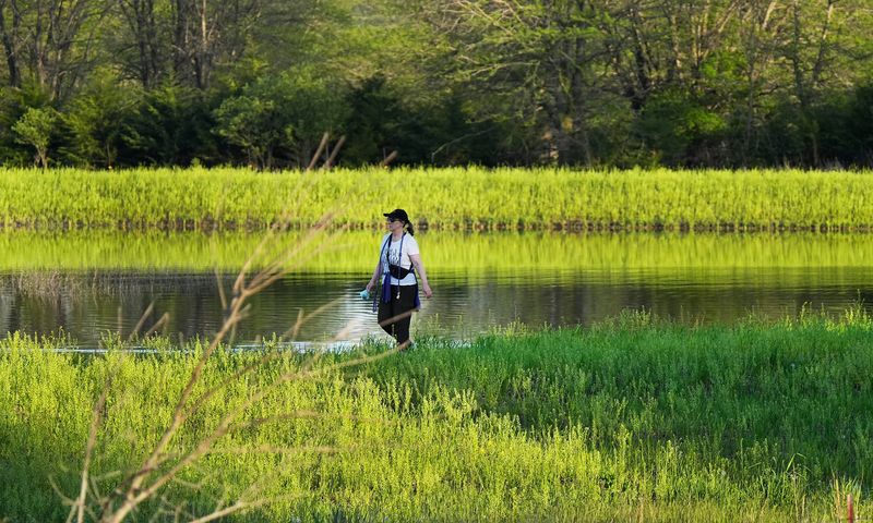 Resident enjoys the park as walking around Story County Conservation’s Prairie Valley Preserve area near Gilbert, Iowa. Picture taken on May 8, 2025, in Gilbert, Iowa.