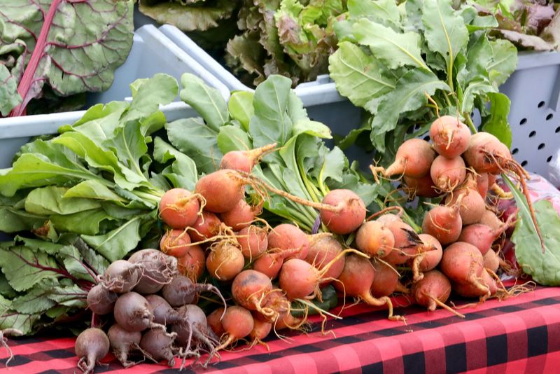 Produce for sale is seen Wednesday, June 28, 2023, during the Edgebrook Farmers Market in Rockford.