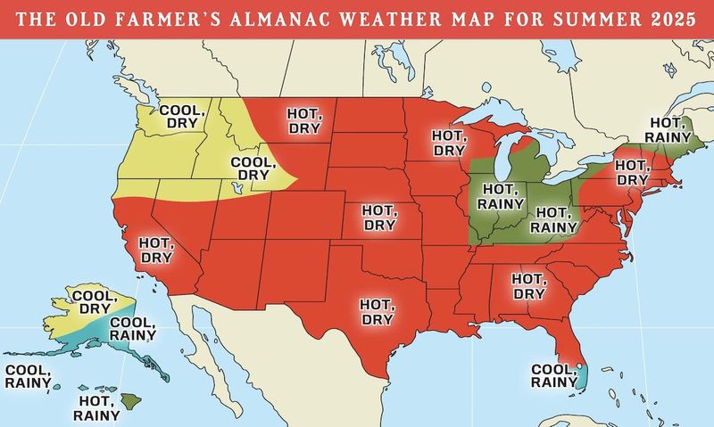 The Old Farmer’s Almanac predicts a hot, rainy summer in much of Illinois.
