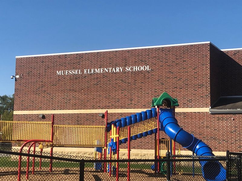 The Indiana Department of Child Services is investigating an allegation of abuse at Muessel Elementary School.