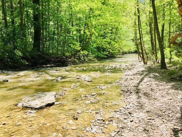 Fallen Timber Creek on trail 3 at Versailles State Park.