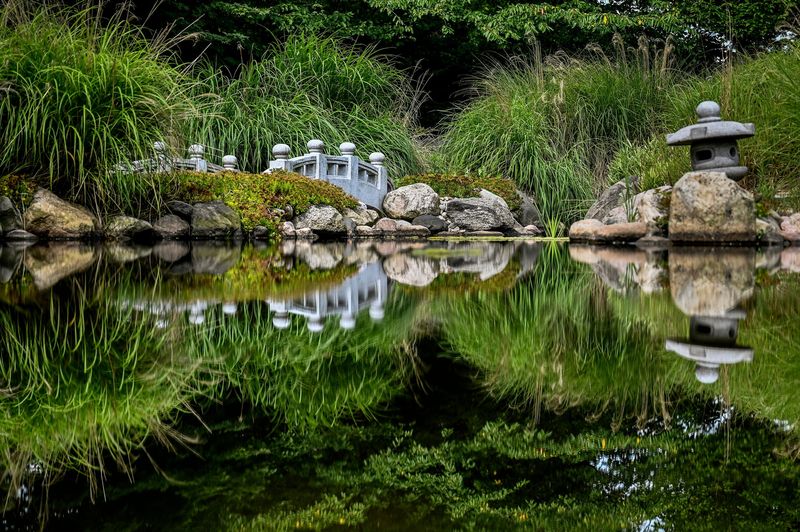 A bridge and the at the misaki cape lantern, right, are reflected in the pond at the Shigematsu Memorial Garden on Wednesday, Aug. 3, 2022, on the Lansing Community College campus in Lansing.
