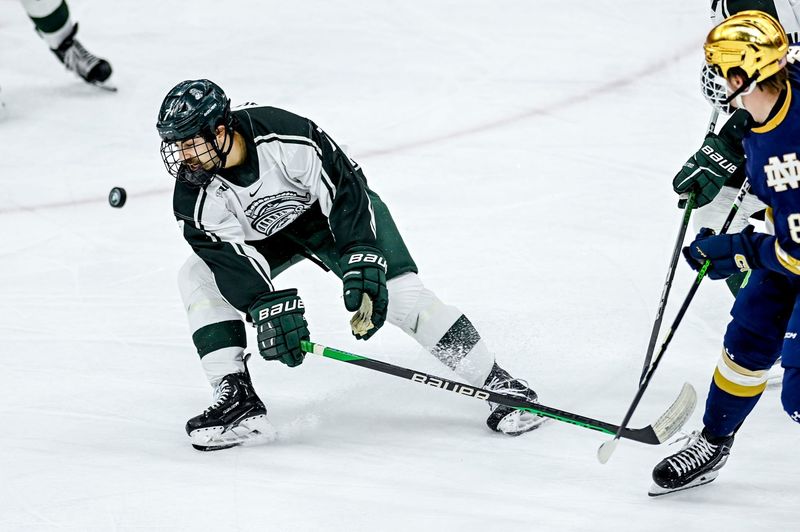 Michigan State's David Gucciardi goes after the puck after Notre Dame hit it toward the goal during the first period on Friday, Dec. 8, 2023, at Munn Arena in East Lansing.