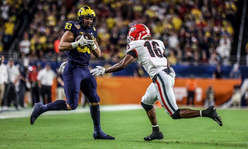 Michigan football vs Georgia