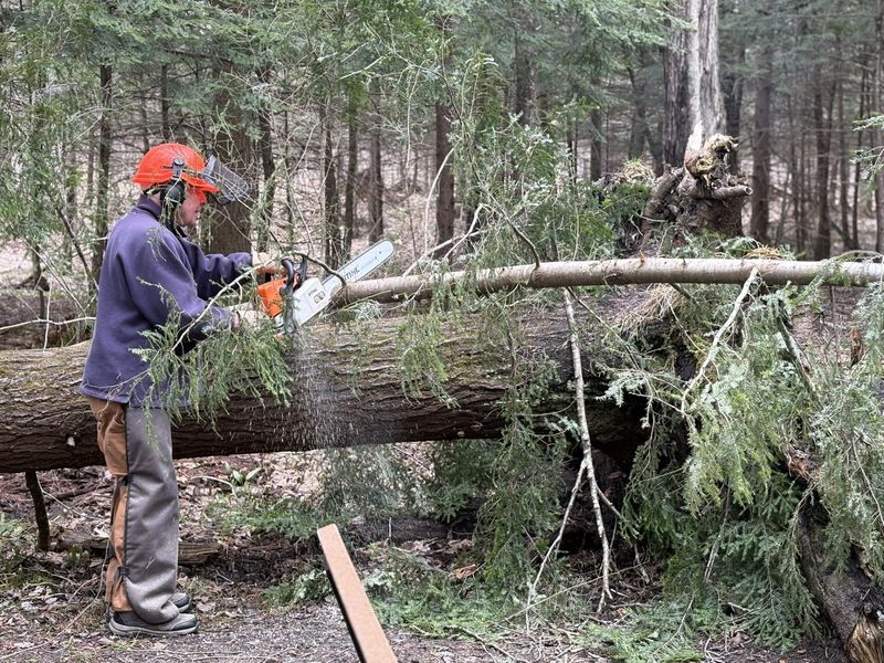 Volunteers work to clear debris and fallen trees at the Allan and Virginia McCune Nature Preserve following the historic ice storm in Northern Michigan.