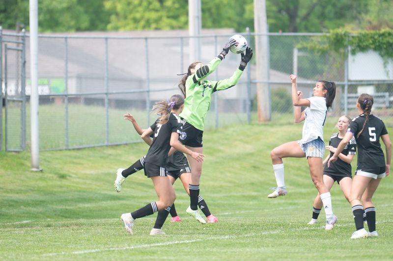 Lakeview senior Carson Howard makes a save during a playoff game against Mattawan at Loy Norrix High School on Saturday, May 31, 2025.