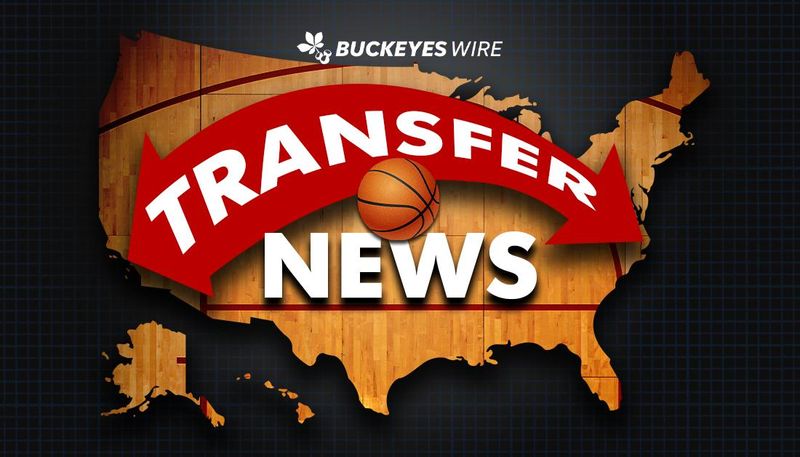 Transfer basketball