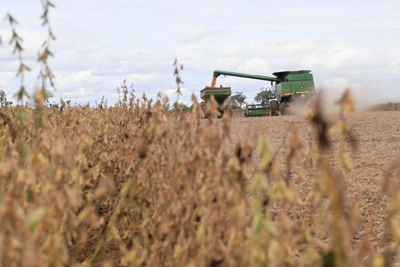 Bolivia’s soy farmers on edge as fuel shortage hits harvest