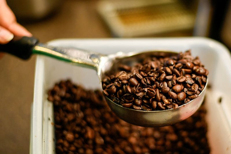 FILE PHOTO: Beans are scooped at a Starbucks coffeehouse in Austin, Texas