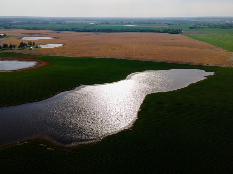 In an aerial view, one of Micah Lester’s flooded fields is seen in Cadiz, Kentucky, U.S. April 18, 2025.  REUTERS/Jon Cherry