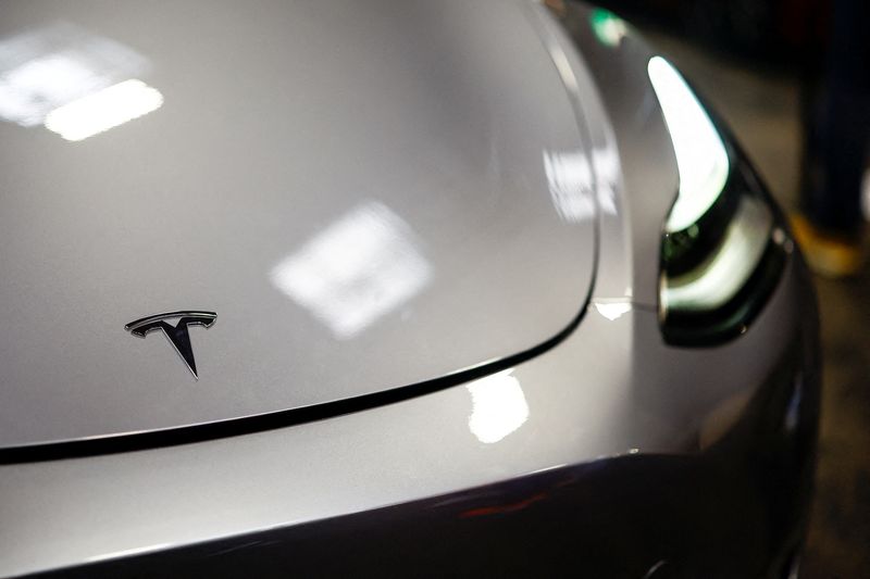 FILE PHOTO: The Tesla logo is seen on a car at the Paris Games Week (PGW), a trade fair for video games in Paris, France, October 27, 2024. REUTERS/Sarah Meyssonnier/File Photo