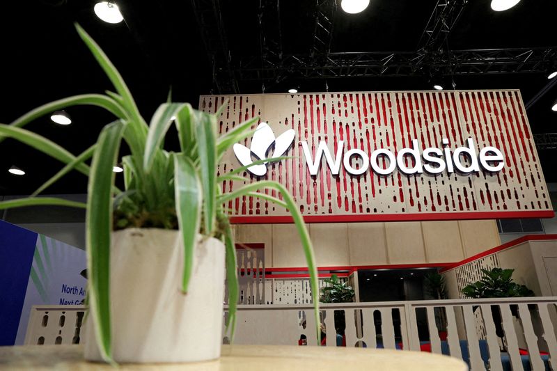 FILE PHOTO: A plant decorates the booth of Australian petroleum exploration and production company Woodside Energy during the LNG 2023 energy trade show in Vancouver, British Columbia, Canada, July 13, 2023. REUTERS/Chris Helgren/File Photo