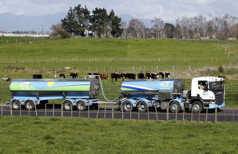 FILE PHOTO: A Fonterra milk tanker drives past dairy cows as it arrives at Fonterra's Te Rapa plant near Hamilton, New Zealand August 6, 2013.     REUTERS/Nigel Marple/File Photo/File Photo