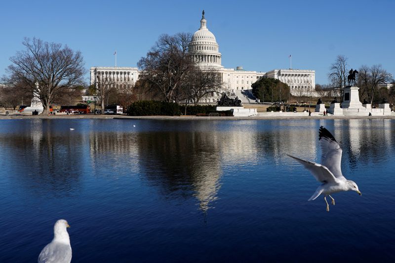 FILE PHOTO: A bird flies near the U.S. Capitol building in Washington