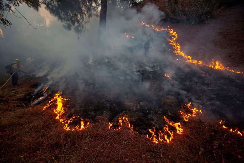 FILE PHOTO: A firefighter battles the Palisades Fire in a neighborhood in Los Angeles, California, U.S., January 11, 2025. REUTERS/Ringo Chiu/File Photo