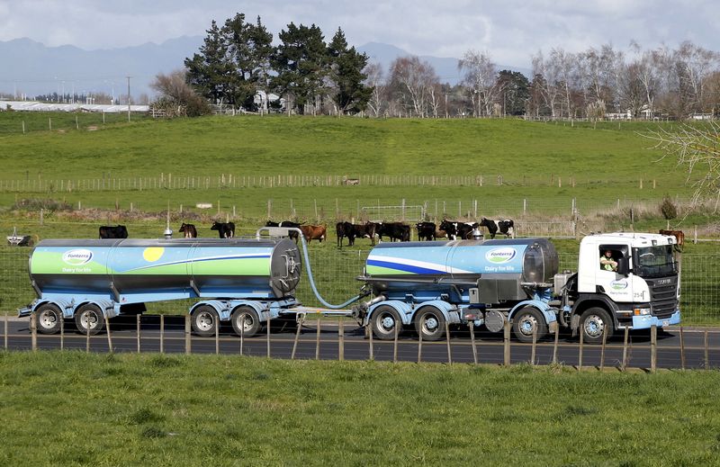 FILE PHOTO: File picture of a Fonterra milk tanker driving past dairy cows as it arrives at Fonterra’s Te Rapa plant near Hamilton, New Zealand
