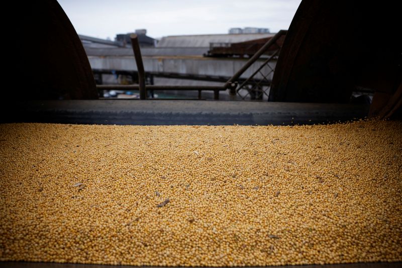 Soybeans loading onto a ship at Santos port, in Santos