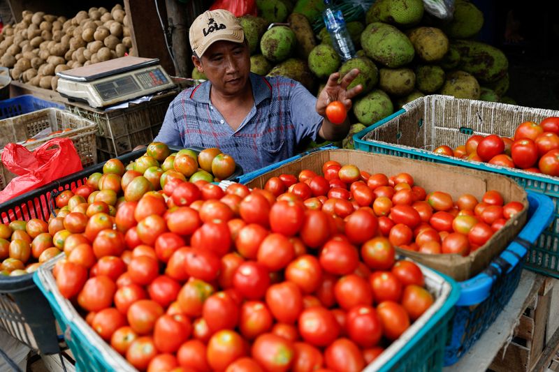 FILE PHOTO: Aman Iskandar, a vendor, 52, sorts tomatoes while waiting for customers at a traditional market, in Jakarta, Indonesia October 1, 2024. REUTERS/Willy Kurniawan/File Photo