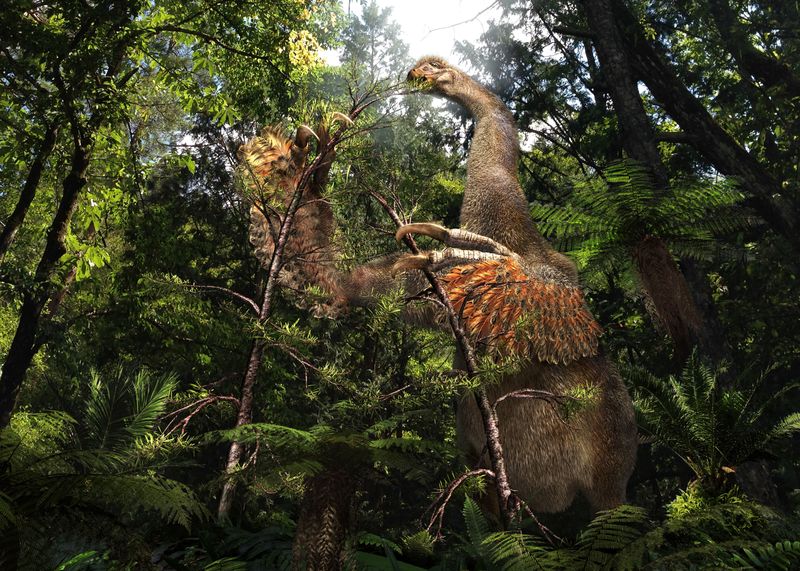 A life reconstruction of the Cretaceous dinosaur Duonychus tsogtbaatari, whose fossils were unearthed in Mongolia, is seen in this illustration obtained by Reuters on  March 25, 2025.    Masato Hattori/Handout via REUTERS