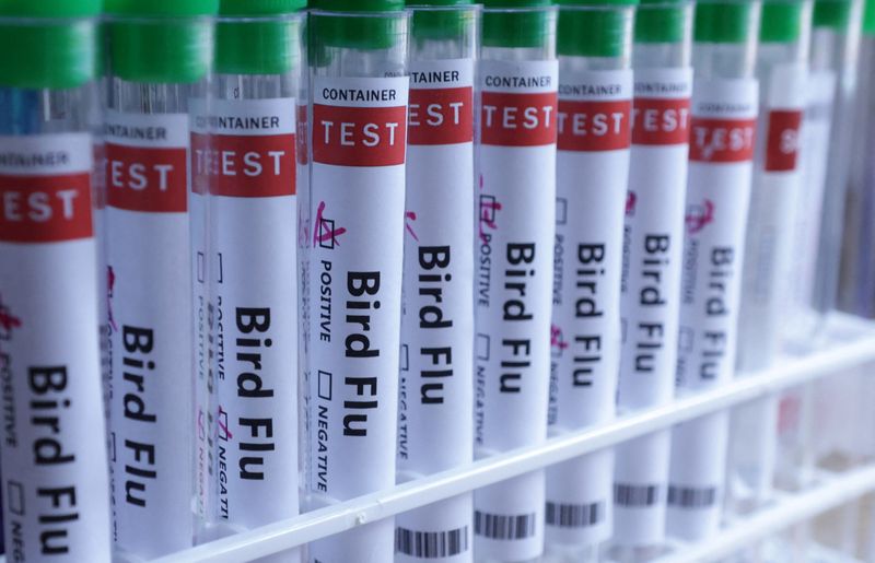 FILE PHOTO: Test tubes are seen labelled "Bird Flu" words in this illustration taken, June 10, 2024. REUTERS/Dado Ruvic/Illustration/File Photo
