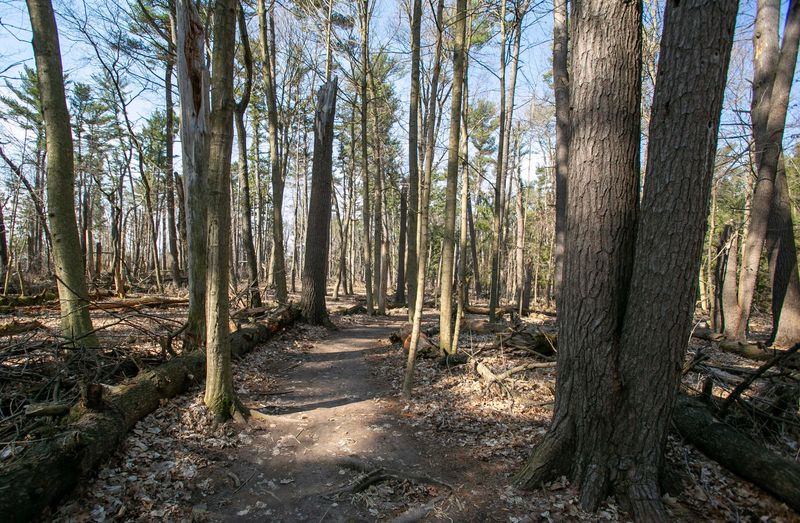 A path in the woods at Evergreen Park, Thursday, April 17, 2025, in Sheboygan, Wis.