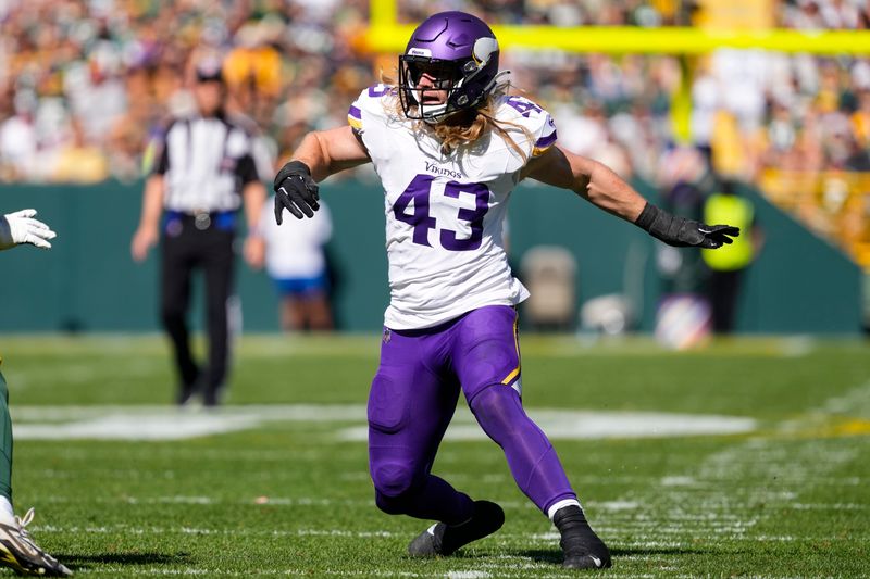 Sep 29, 2024; Green Bay, Wisconsin, USA; Minnesota Vikings outside linebacker Andrew Van Ginkel (43) during the game against the Green Bay Packers at Lambeau Field. Mandatory Credit: Jeff Hanisch-Imagn Images